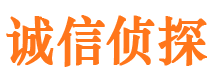 施甸市场调查